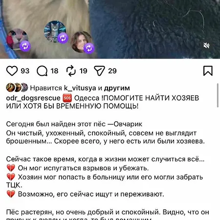 Magnit у самого моря *